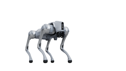 Unitree Go2 Pro Quadruped  Robot