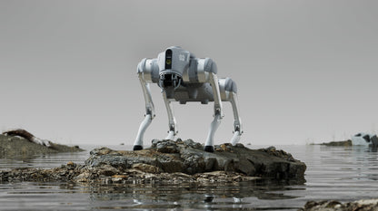 Unitree Go2 Pro Quadruped  Robot